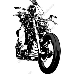 Dynamic Motorcycle Rider
