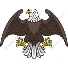 Majestic Eagle