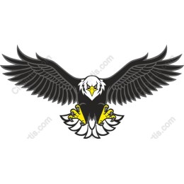 Fierce Eagle