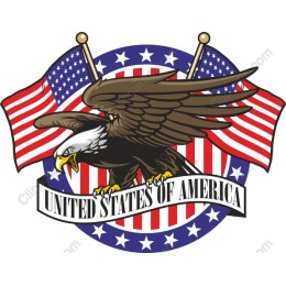 Patriotic Eagle