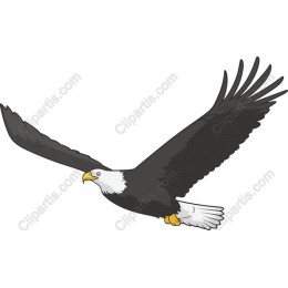Majestic Soaring Eagle