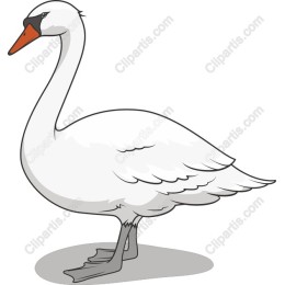 Elegant Swan
