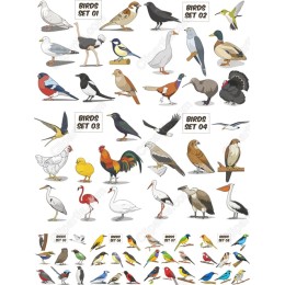 Birds Set