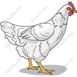 White Hen