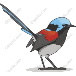 Vibrant Avian Delight