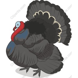 Turkey - Perfect for Thanksgiving and Holiday
