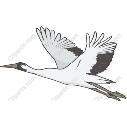Elegant Flying Crane