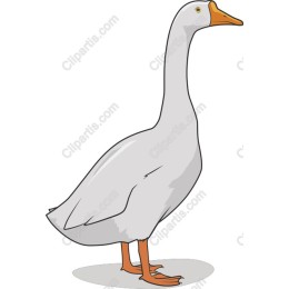 Charming Goose