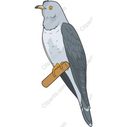 Elegant Perched Bird