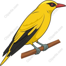 Vibrant Yellow Bird