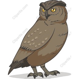 Majestic Brown Owl