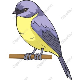 Vibrant Bird