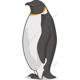 Emperor Penguin
