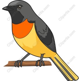 Vibrant Bird Perched