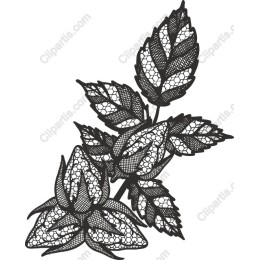 Lace Floral Elegance