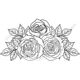 Elegant Rose