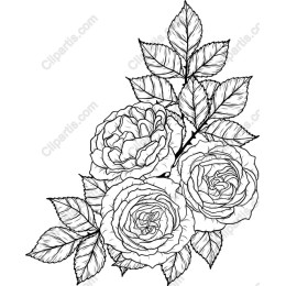 Elegant Rose Bouquet Drawing