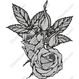 Lace Rose