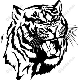 Roaring Tiger - Fierce Jungle