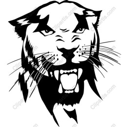 Fierce Wildcat Head