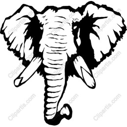 Elephant Head