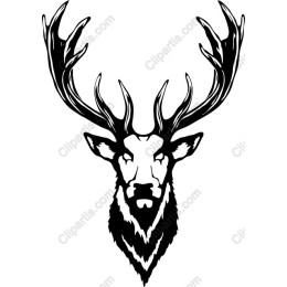 Majestic Stag