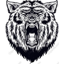 Fierce Bear Head