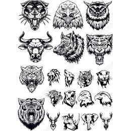 Fierce Wildlife Bundle