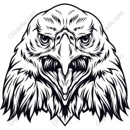 Fierce Eagle Head