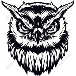 Majestic Owl