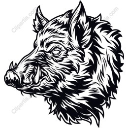 Fierce Wild Boar Head