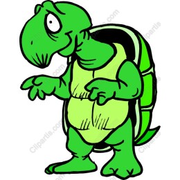 Charming Green Turtle