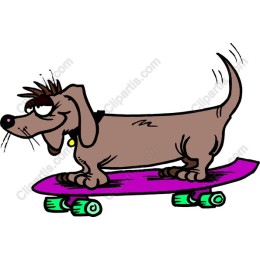 Skateboarding Dachshund