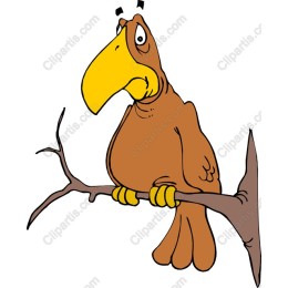 Whimsical Cartoon Bird