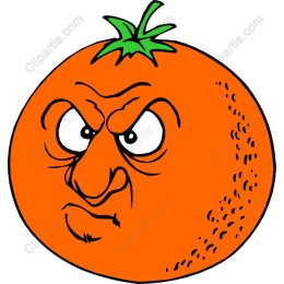 Grumpy Orange