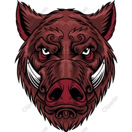 Wild Boar Head