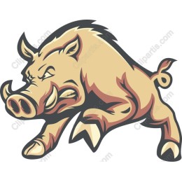 Fierce Boar