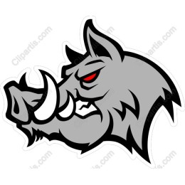 Fierce Boar Head