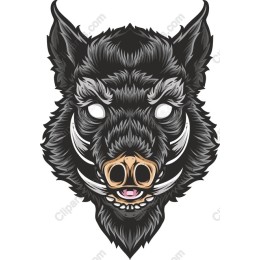 Wild Boar Head