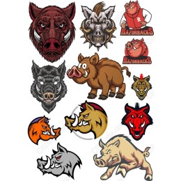 Wild Boar Bundle - Collection