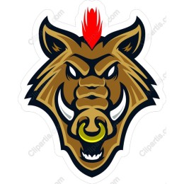 Fierce Boar Head