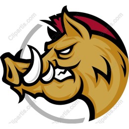 Fierce Wild Boar