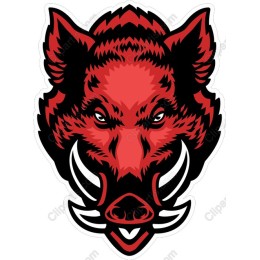 Fierce Boar Head