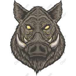 Fierce Wild Boar Head