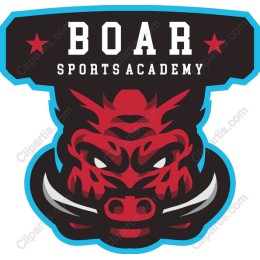 Boar Sports Academy