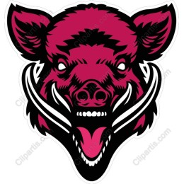 Fierce Wild Boar Head