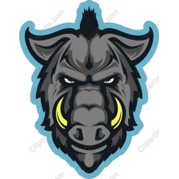 Fierce Wild Boar Head