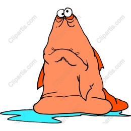Charming Cartoon Sea Creature