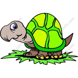 Charming Cartoon Turtle