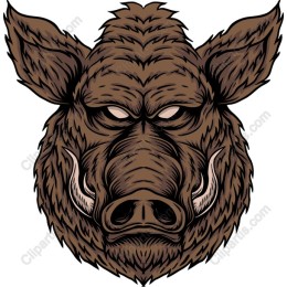 Fierce Boar Head